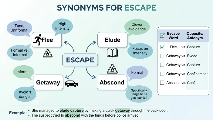 Synonyms for Escape