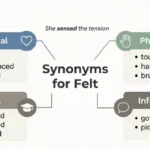 Synonyms for Felt