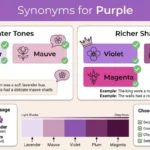 Synonyms for Purple