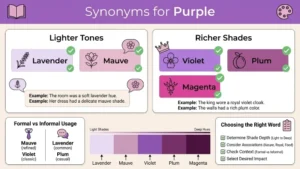 Synonyms for Purple