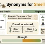 Synonyms for Smell